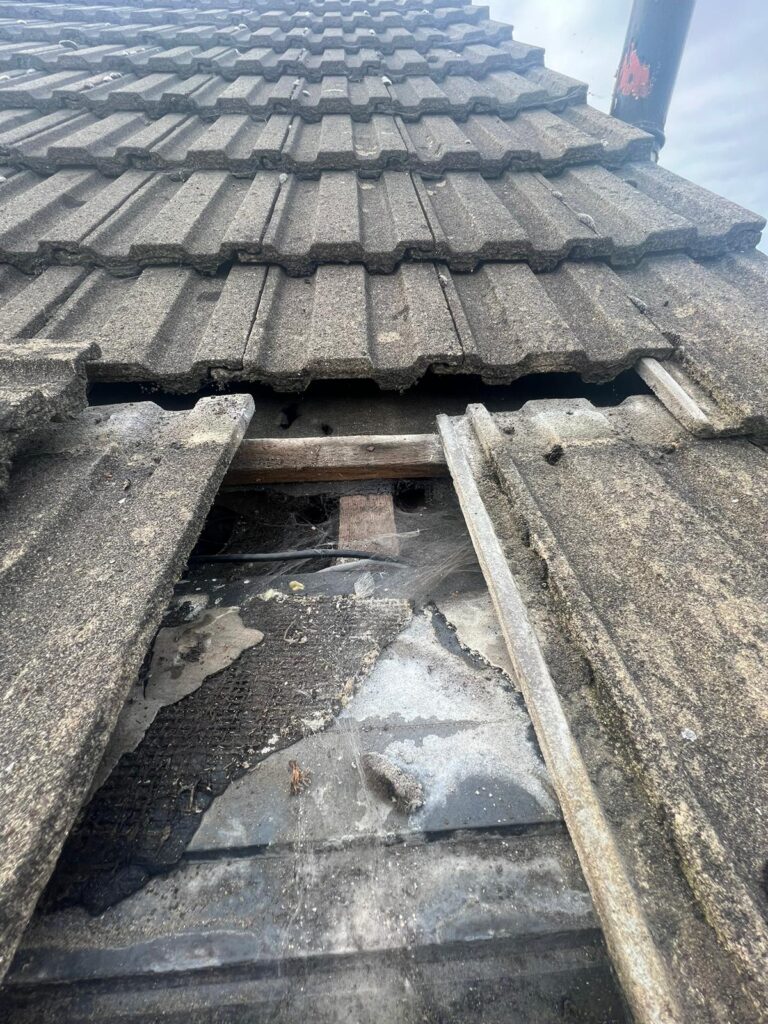 WhatsApp Image 2026-02-05 at 16.55.58