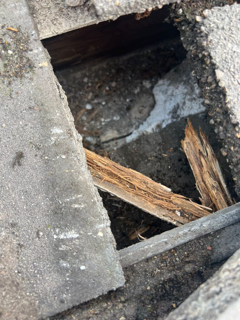 WhatsApp Image 2026-02-05 at 17.04