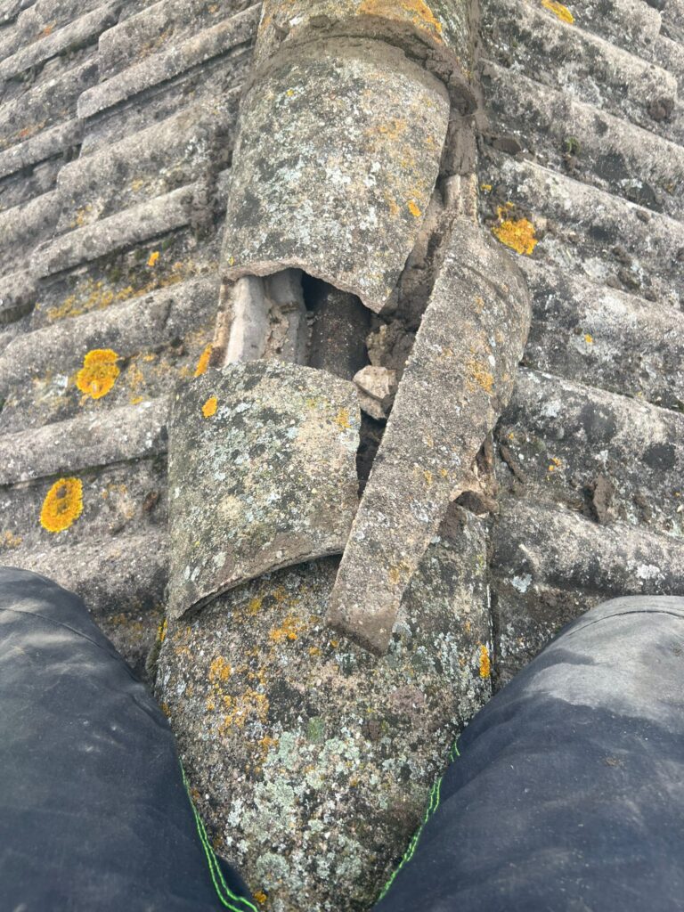 WhatsApp Image 2026-02-05 at 17.09