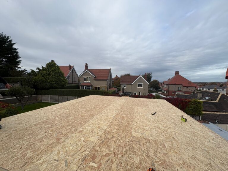 WhatsApp Image 2026-02-16 at 11.22